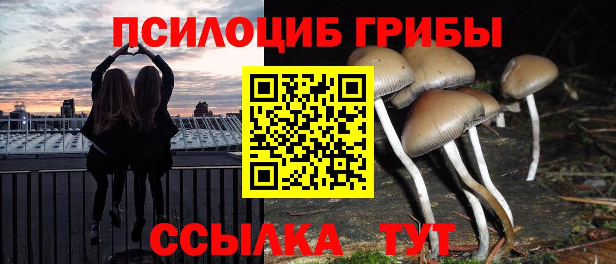 Галлюциногенные грибы мухоморы Магнитогорск